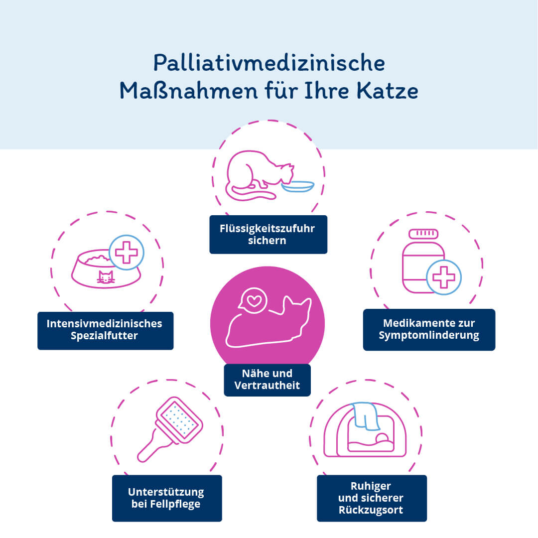 Grafik: Nierenversagen bei der Katze: Palliativmedizinische Maßnahmen