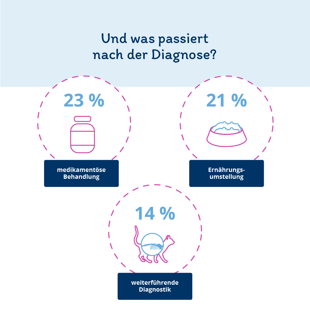 Infografik: Was passiert bei Katzen nach der Diagnose einer Krankheit, 