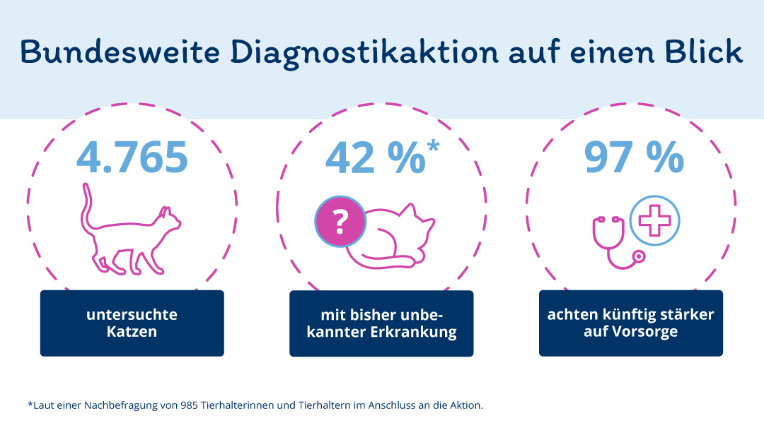 Ergebnisübersicht als Infografik, Ergebnisse zur Vorsorge Diagnostikaktion bei der Katze. 