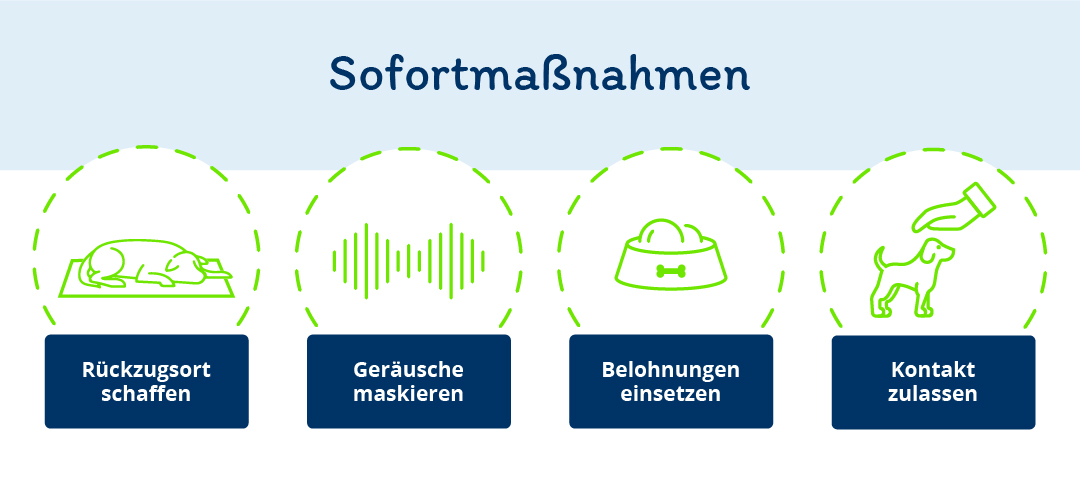 Infografik Sofortmaßnahmen bei Geräuschangst