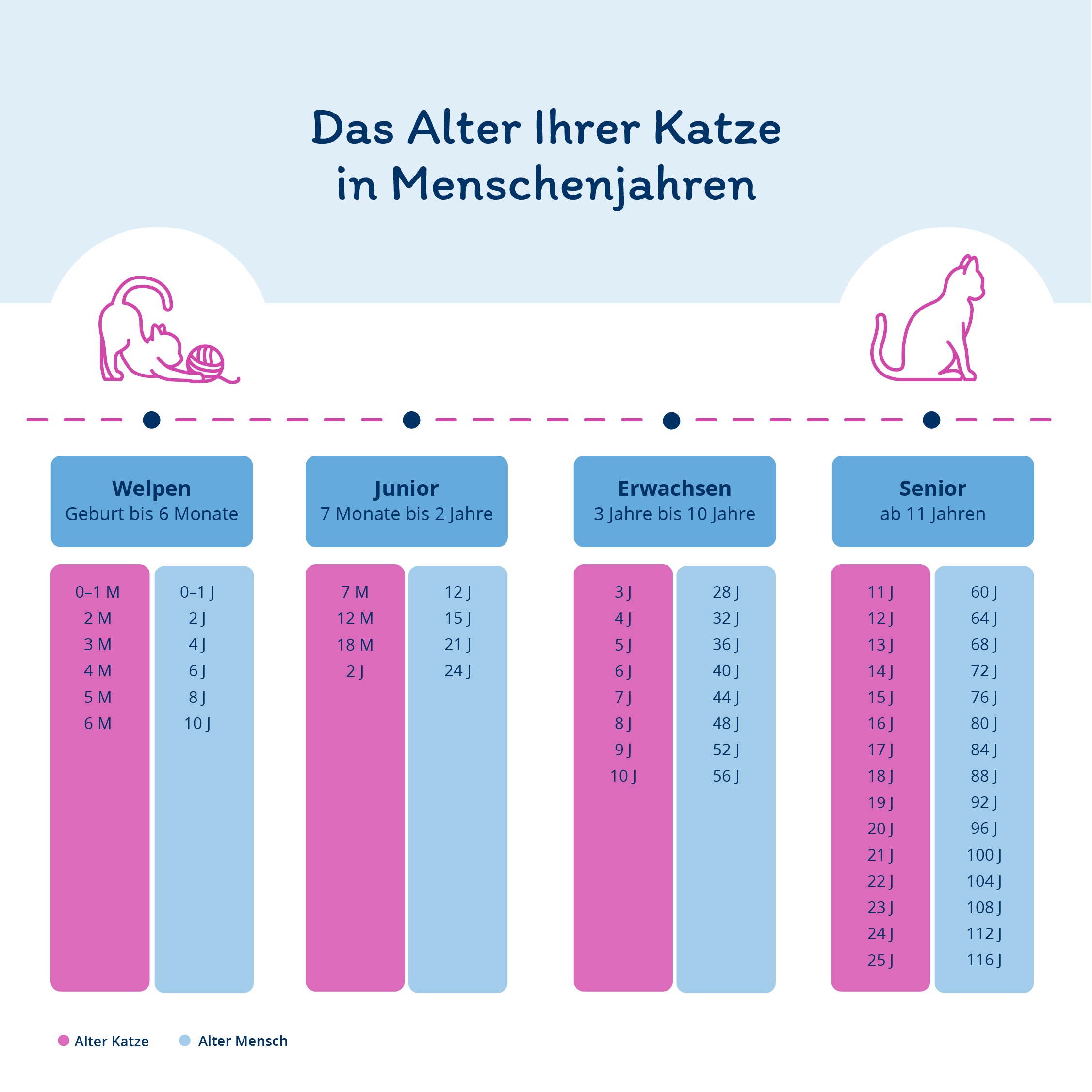 Katzenjahre in Menschenjahren Tabelle