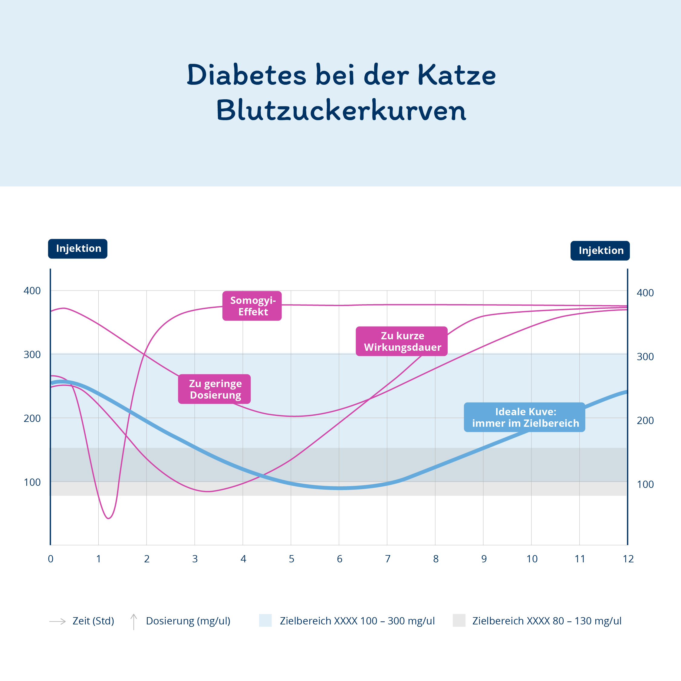 Infografik: Eine ideale Verteilung der Blutzuckerkurven bei Katze mit Diabetes