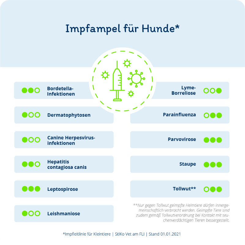 Infografik: Die Impfampel für Hunde