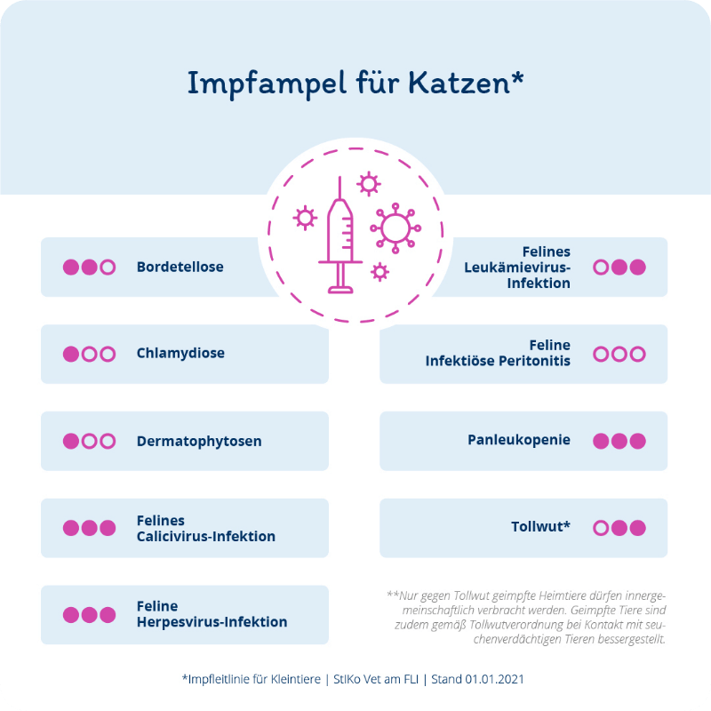 Grafik: Impfampel für Katzen