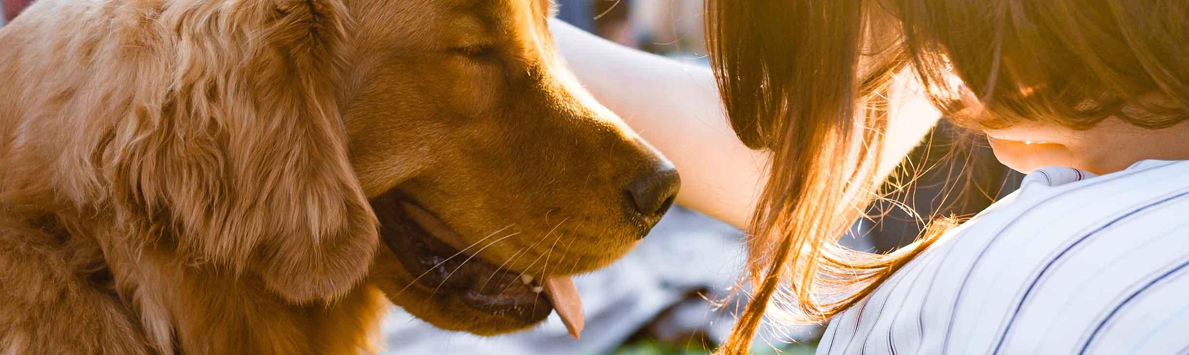 Herrchen mit Hund. Gesundheit beim Hund ist unerlässlich für ein glückliches Hundeleben.