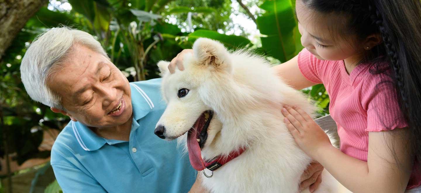 Großvater und Enkelin streicheln Hund.