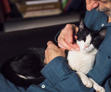 alter Mann und alte Katze kuscheln: Wie alt werden Katzen?