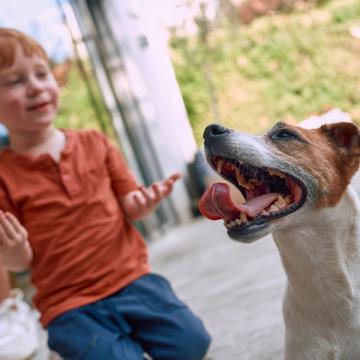 Junge spielt mit Hund.