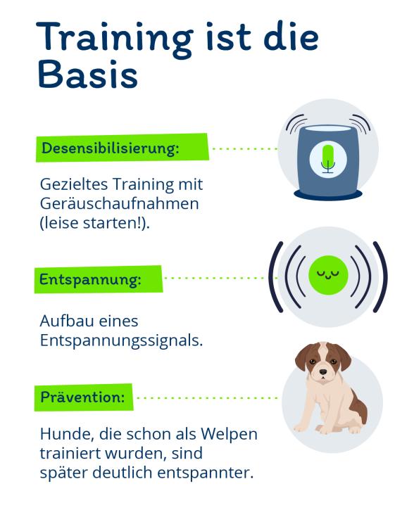 Infografik: Desensibilisierungstraining Geräuschangst