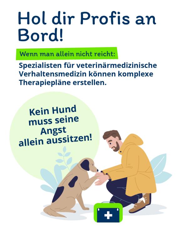 Infografik: Geräuschangst Hund professionelle Hilfe