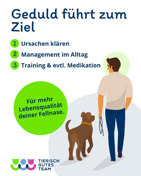 Infografik: Geräuschangst Hund Tipps