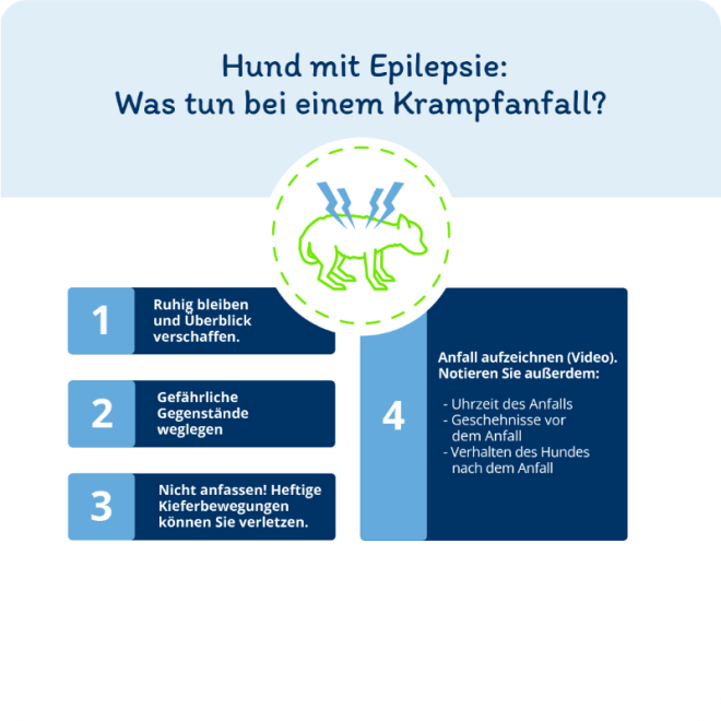 Epilepsie - Was tun?