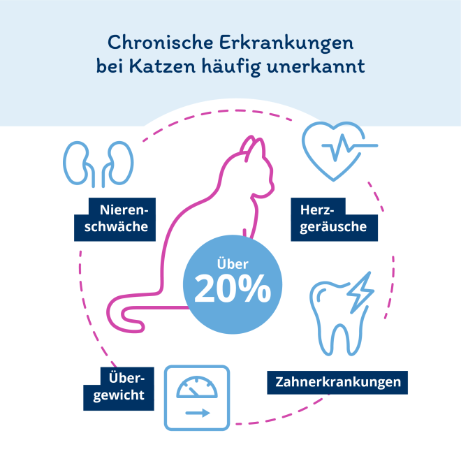 Informationsgrafik: Über 20 Prozent der chronischen Erkrankungen bei Katzen bleibt häufig unerkannt.