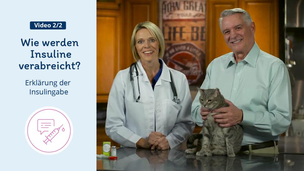 Erklärvideo zur Verabreichung von Insulin bei Katzen 