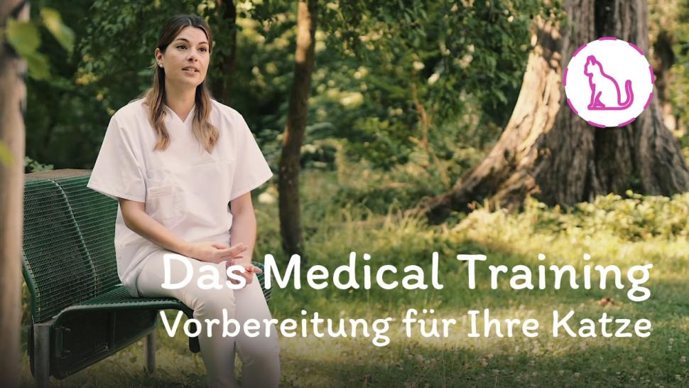 Thumbnail Video: Medical Training für den Tierarztbesuch mit Katze. 