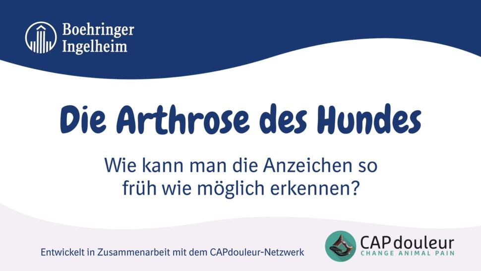 Die Arthrose des Hundes